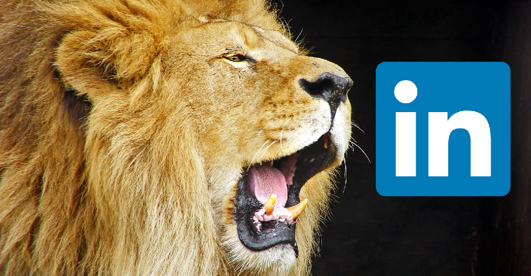 Você é um LION no LinkedIn? E deveria ser?